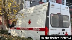 Иллюстрация үчүн колдонулган сүрөт.