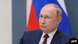 Орусиянын президенти Владимир Путин. 
