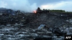 На місці авіакатастрофи, 17 липня 2014 року