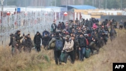 Polşanyň serhet resmileriniň maglumatyna görä, serhedi bikanun geçmek boýunça 223 sany synanyşyk edilipdir. 