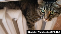 На 100% підключені до опалення 10 областей