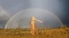 Image result for "Георгі Лепін"