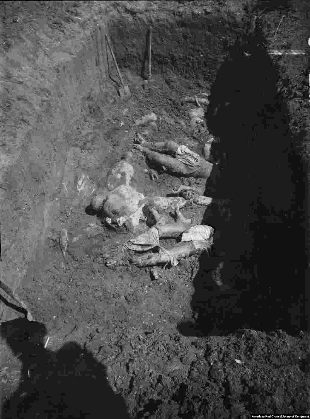 Тела, обнаруженные в 1919 году в Харькове после того, как Белая армия освободила город от большевиков. Точных данных о количестве погибших в Гражданской войне нет, но историки сходятся в оценках, что это миллионы человек&nbsp;