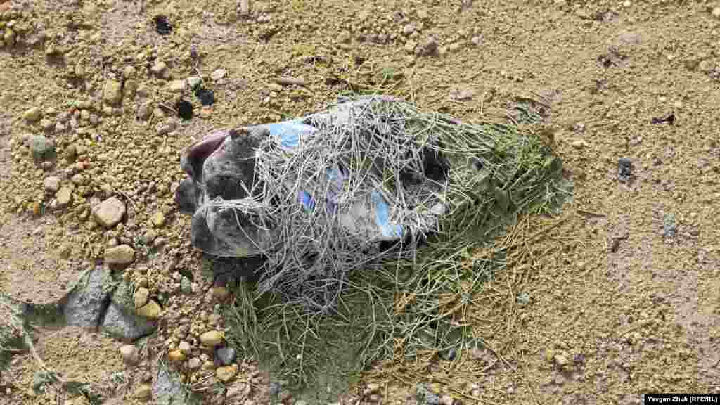 Plastik şişe quruğan suv ösümliklerinen sarılğan 