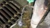 «На чисту воду». Те, що ми п’ємо, важко назвати водою