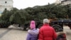 Як правильно вибрати ялинку? Досвід України та США