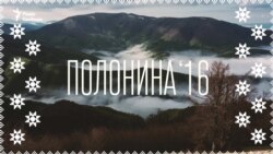 Полонина '16. Карпатські вівчарі пішли у гори