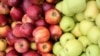 Мінагрополітики: у 2017 році експорт аграрної продукції збільшився на майже 23%