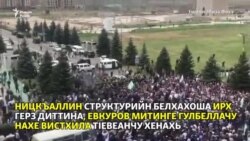 Дозанаша лачдоккхуш лаьтта вежаралла
