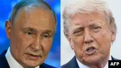Владимир Путин менен Дональд Трамп. Коллаж.