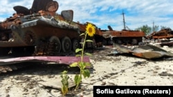 Украинада сугыш. Архив фотосы